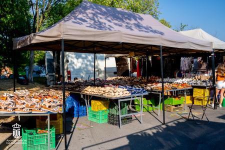 Imagen 106 Calzado-1 (1)