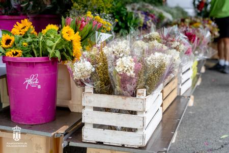 Imagen 005-006 Flores-4