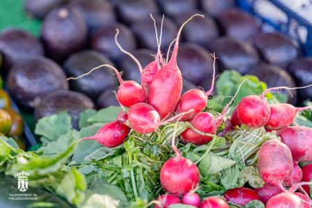 Imagen 116-118 Frutas-8