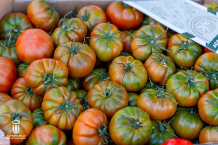 Imagen 116-118 Frutas-7