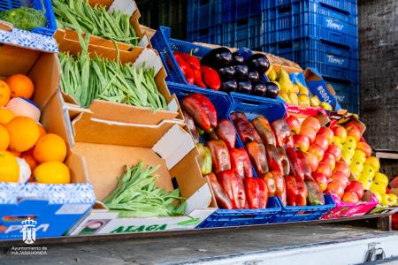 Imagen 098 Alimentacion-9