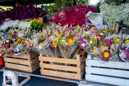 Imagen 005-006 Flores-9