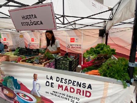 Imagen despensa-04