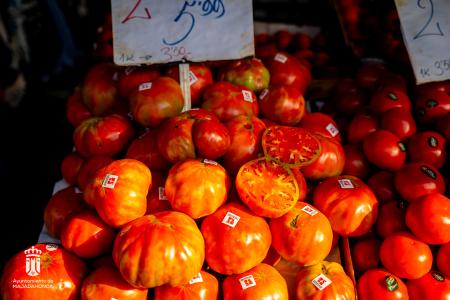 Imagen 020 Alimentacion-6