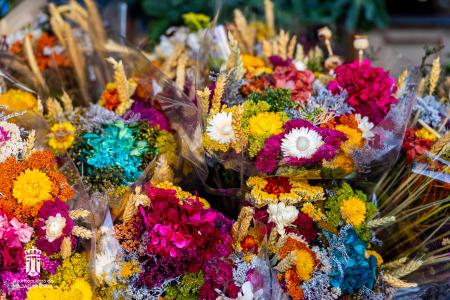 Imagen 005-006 Flores-17