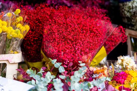 Imagen 005-006 Flores-15