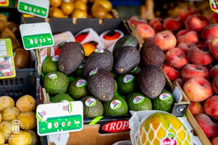 Imagen 020 Alimentacion-8