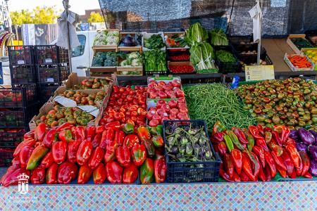 Imagen 116-118 Frutas-5