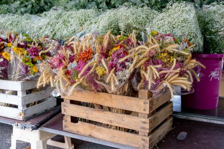 Imagen 005-006 Flores-3