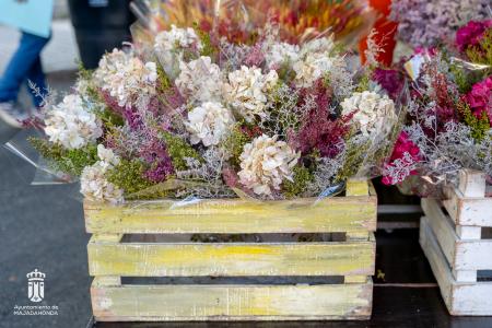 Imagen 005-006 Flores-8