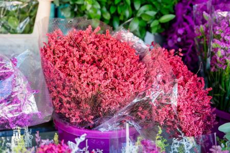 Imagen 005-006 Flores-7