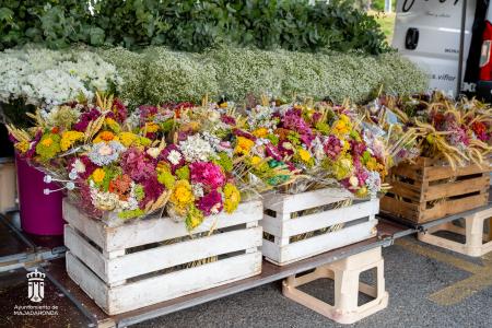 Imagen 005-006 Flores-2