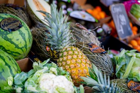 Imagen 098 Alimentacion-7