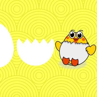 Pon gallinita