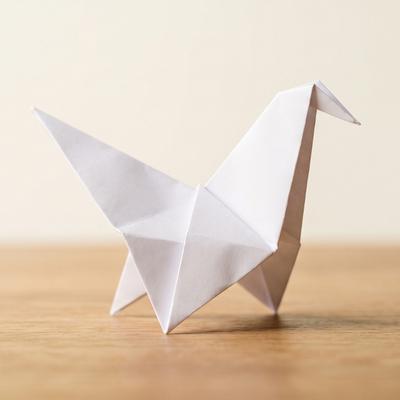 Origami