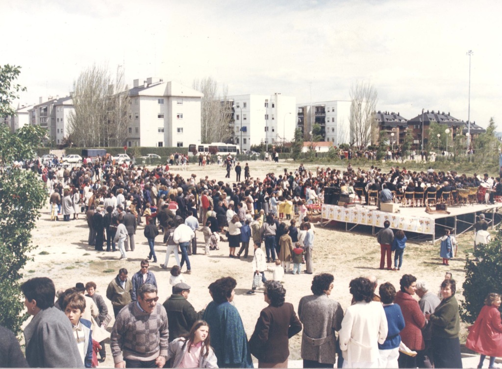 Vista previa