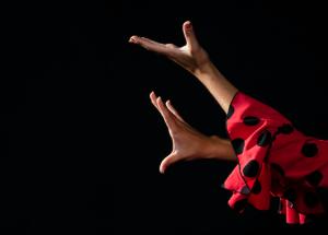 Imagen El Festival de Flamenco vuelve a Majadahonda por su XXI edición