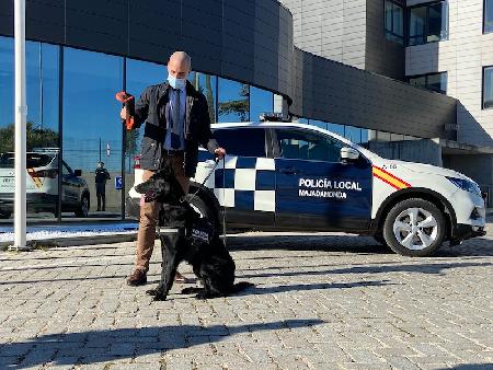 Imagen La Unidad Canina de Majadahonda se refuerza con un nuevo ‘agente’