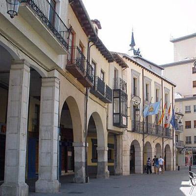 Imagen Visita Aranda de Duero