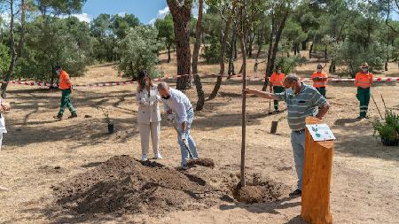 Imagen Majadahonda, galardonada por la FAO y la Arbor Day Foundation por su gestión medioambiental