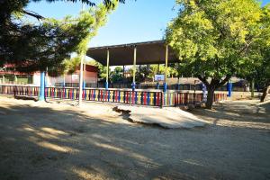 Imagen El Ayuntamiento plantará 300 nuevos árboles por la construcción del nuevo aparcamiento junto al colegio García Lorca