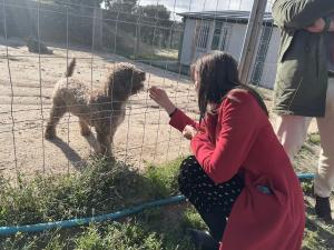 Imagen Majadahonda invierte en la mejora de las prestaciones, instalaciones y acogida del Centro Integral Canino