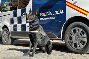 Imagen Rayo, el perro-policía antidroga de Majadahonda
