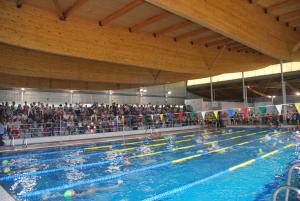 Imagen Más de un centenar de nadadores se dieron cita en la final de la IX Liga de Natación Escolar