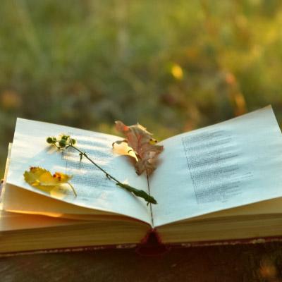 Imagen Festival de Poesía y Música