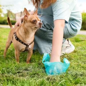 Imagen Majadahonda refuerza la vigilancia en parques y calles para garantizar el comportamiento cívico de los dueños de mascotas