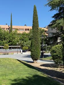 Imagen Majadahonda invertirá un 40% más en el mantenimiento y conservación de sus parques y jardines en los próximos 4 años