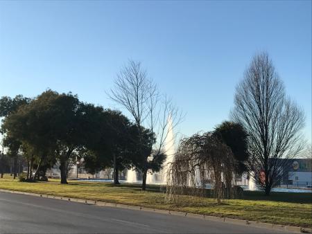 Imagen El Ayuntamiento comienza el año con mejoras en el acerado y aumento de la seguridad peatonal