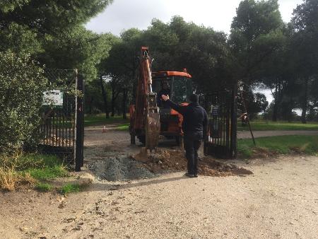 Imagen El Ayuntamiento toma medidas contra los jabalíes