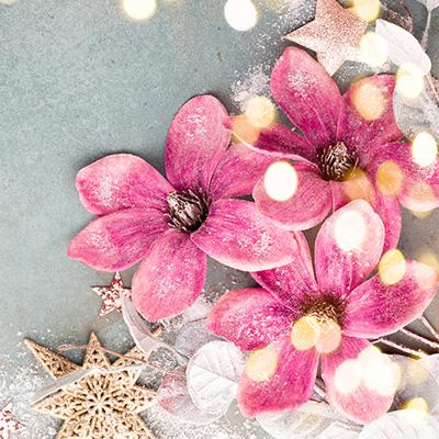 Imagen Taller navideño de adornos florales (mayores)