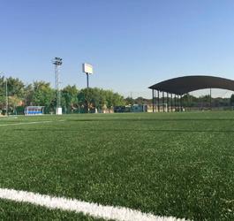 Deportes