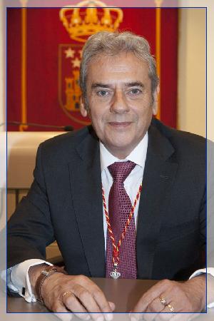 Alfonso Reina Briasco (Legislatura 2015-2019)