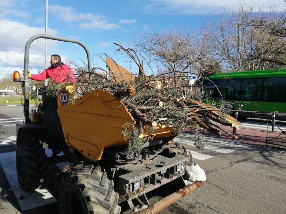 Imagen El Ayuntamiento cifra en casi 14 millones de euros los daños del arbolado de Majadahonda