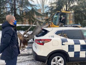 Imagen Majadahonda refuerza sus medios técnicos con retroexcavadoras y tractores para retirar la gran cantidad de nieve acumulada