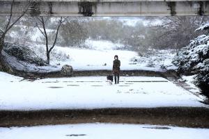 Imagen Majadahonda contra el temporal Filomena