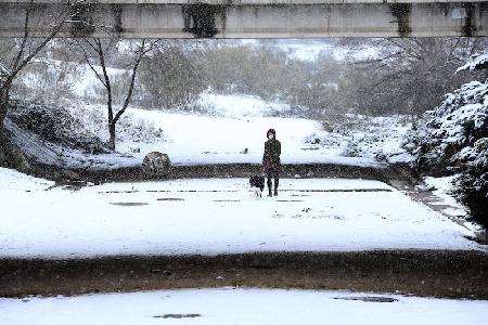 Imagen Majadahonda contra el temporal Filomena