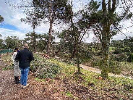 Imagen El Ayuntamiento de Majadahonda reabre el sábado todos los accesos y caminos del Monte del Pilar