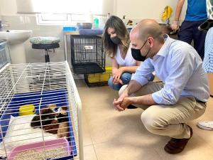 Imagen El CICAM de Majadahonda ha hecho posible 127 adopciones de perros y gatos en un año