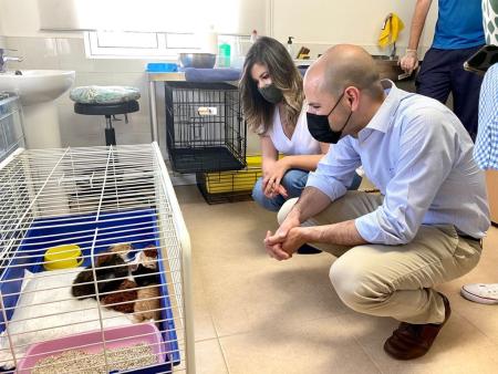 Imagen El CICAM de Majadahonda ha hecho posible 127 adopciones de perros y gatos en un año