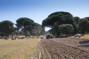 Imagen El Monte del Pilar activa el plan contra incendios y renueva el servicio de vigilancia