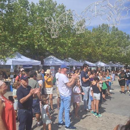 Imagen XVIII Feria de Entidades de Acción Voluntaria de Majadahonda (2026)