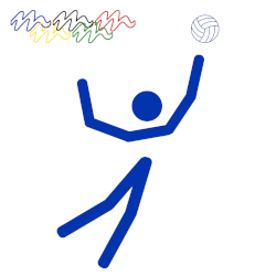 Imagen Minivoleibol