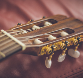 Imagen Planes de Estudios