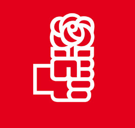 Imagen Personal Eventual - Grupo Municipal Socialista