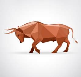 Imagen Toros y Recortadores