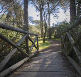 Imagen Visita el Monte del PIlar